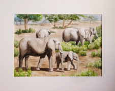 Toloa's_elephants0542102012_1[1]