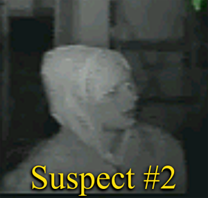suspect # 2