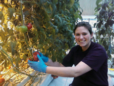 Sarah_Tomatoes_MorrisvilleState for web