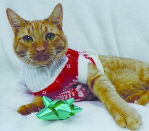 MR-25-2013 mccmc (WRHA) (3)