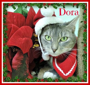 xmas Dora1