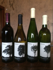 Owera Vineyard for web