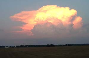 6213FieldCloud3005MWickham