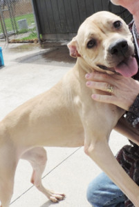 T-13-2014 mccmc (WRHA) (2)