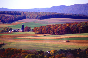 Farming_near_Klingerstown,_Pennsylvania