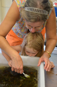 6-27 FF, Pond Ecology