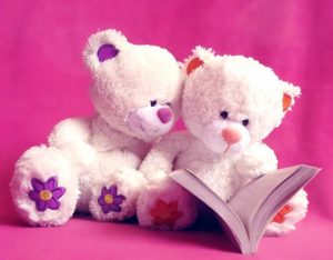 Cute-Teddy Bear-pair-Reading-Pink- Wallpaper