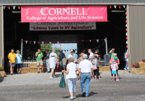 6251EFDCornellEntrance3005EFD