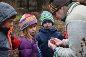 Young explorers learn how plants adapt to the changing seasons during an early winter adventure at Rogers Center. NBT Bank is generously sponsoring “Wonders of Winter,” offering children ages 7-10 a variety of opportunities to enjoy the local wilderness during the upcoming holiday recess. Photo courtesy Friends of Rogers.
