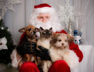 pet pic santa